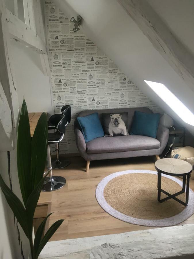 Appartements Atypiques Centre Historique ดีจอง ภายนอก รูปภาพ
